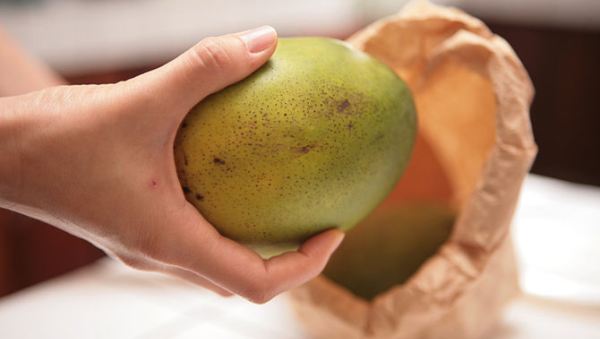 ilustrasi membungkus buah dengan kertas